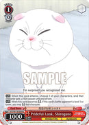Prideful Look, Shirogane [Ayakashi Triangle]