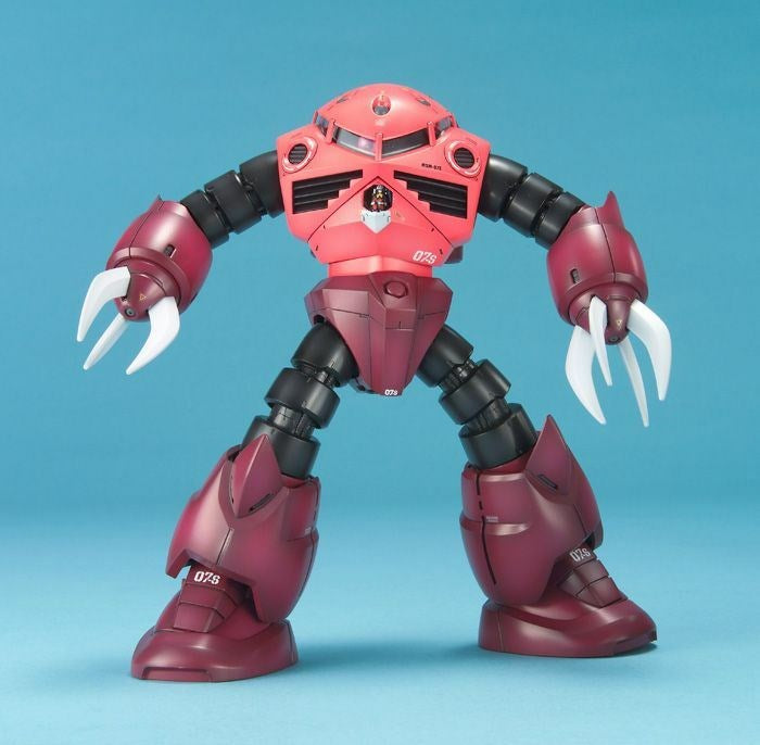 MG 1/100 MSM07 ZGOK CHARS CUSTOM