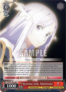 Mysterious Smile, Administrator [Sword Art Online Animation 10th Anniversary]