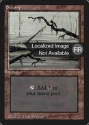 Swamp (A) [Foreign Black Border]